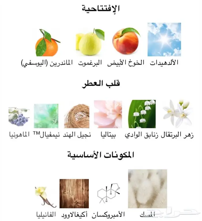 وصل الجديد من دي مارلي عطر فلايا راح يكسر الدنيا 2