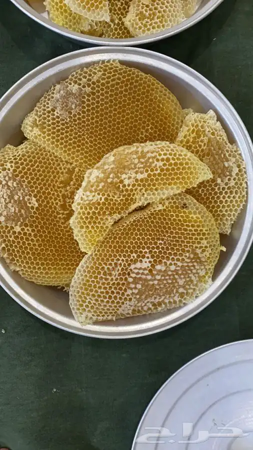 عسل سدر انتاج جديد 1