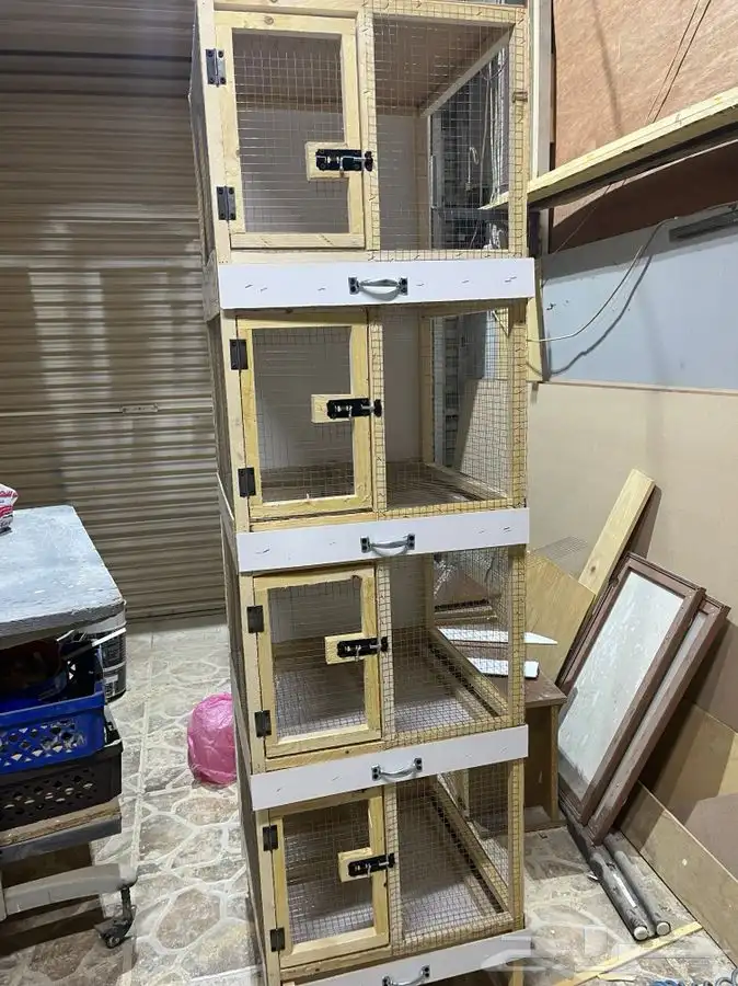 محاكر حمام مححكر دجاج روز ارانب بط 0