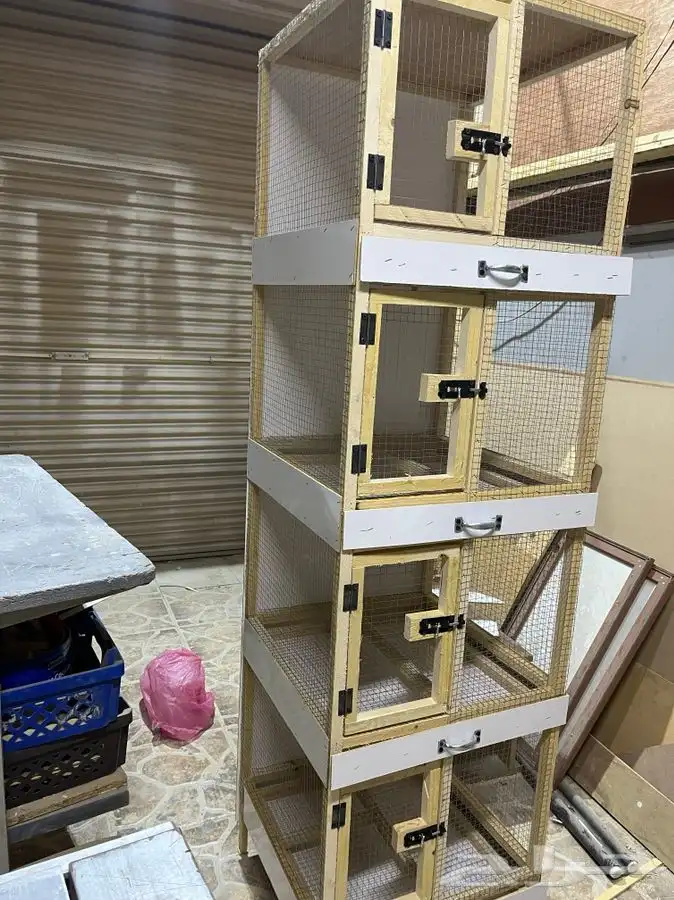 محاكر حمام مححكر دجاج روز ارانب بط 1