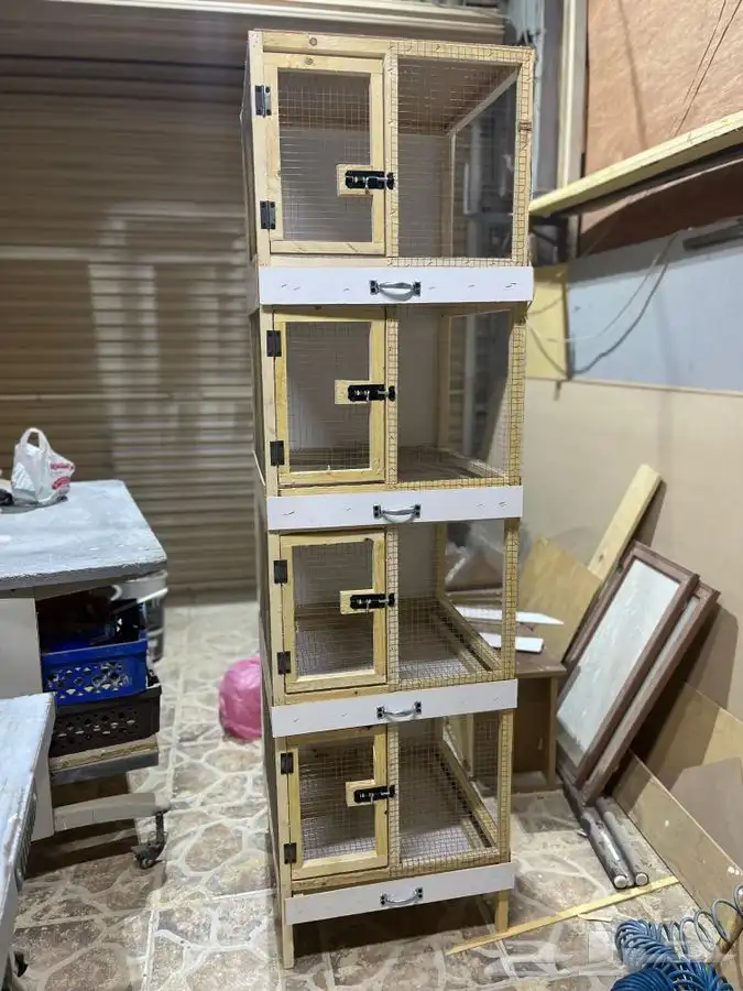محاكر حمام مححكر دجاج روز ارانب بط 3