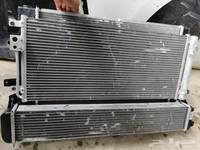 شيري اريزو 6 2022 0