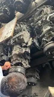 جيرات دينا ياباني شد بلاد ضمان شهرين 0