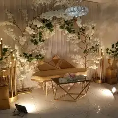 تنسيق حفلات 4