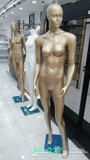 مجسمات 6