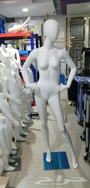 مجسمات 1
