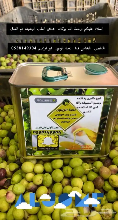 زيت زيتون نخبة الزيتون 1446 عصره اولى على البارد شرط مضمون 3