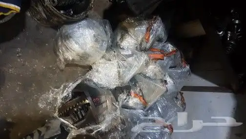 جيرات دينا ياباني شد بلاد ضمان شهرين 3