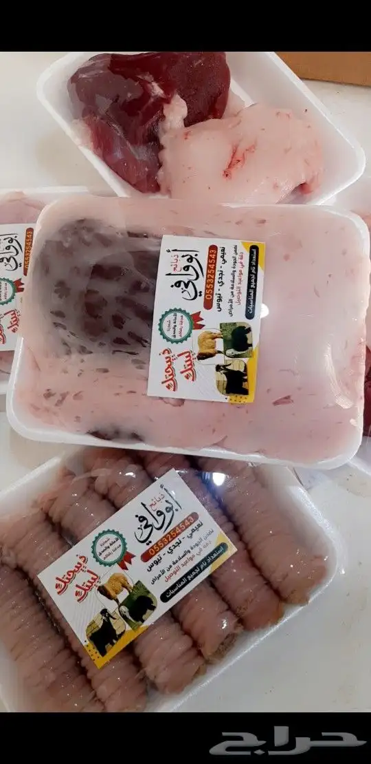 ذبايح هرافي وتيوس 12