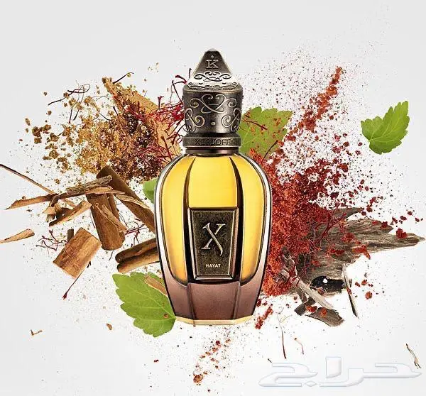 افضل العطور العالميه الاصليه بافضل الاسعار 10