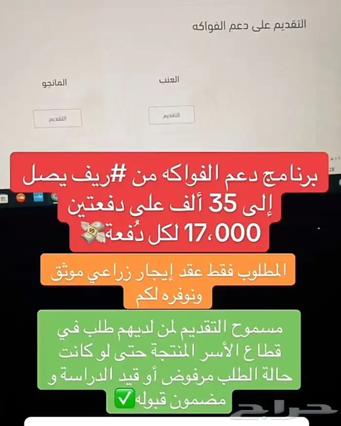 تقديم حساب المواطن والضمان المطور 11
