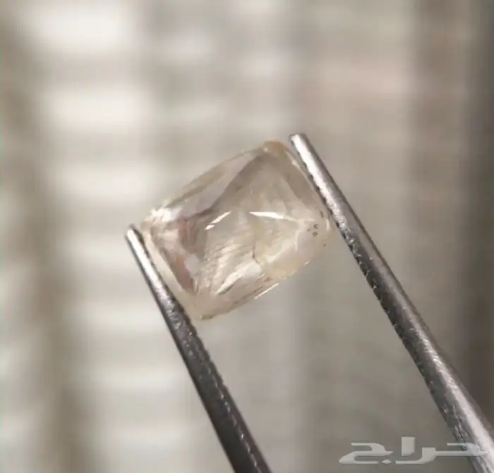 زفير ابيض مصفر نادر جدا 1