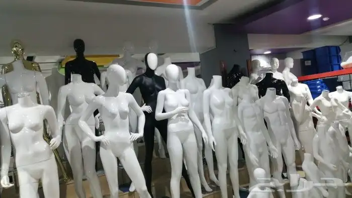مجسمات 3