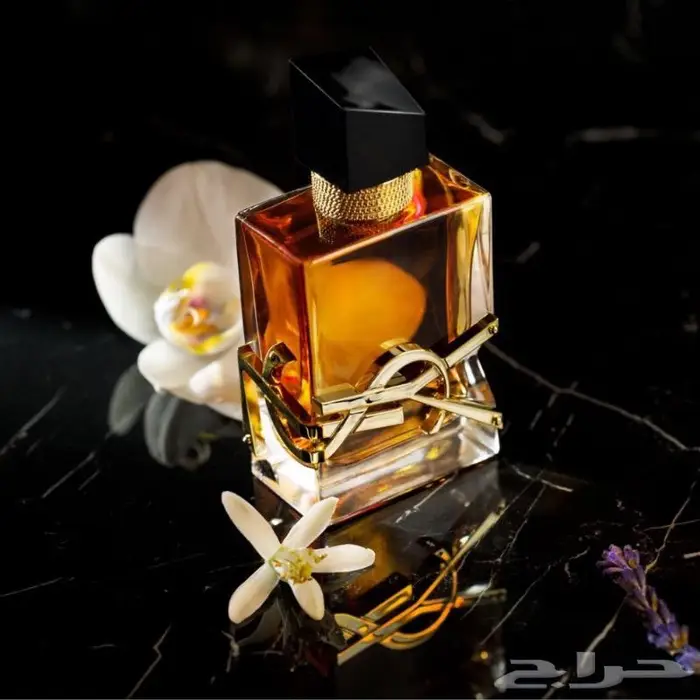 افضل العطور العالميه الاصليه بافضل الاسعار 12