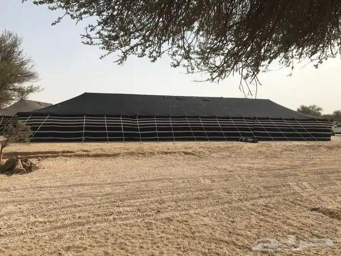 تاجير بيوت الشعر جميع المقاسات 13
