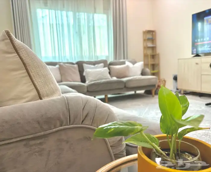 كنب ايكيا   كنبات ايكيا 1