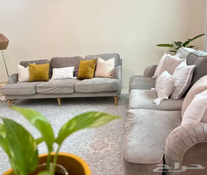 كنب ايكيا   كنبات ايكيا 2