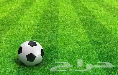 عشب ملاعب كرة قدم مطابق لاتحاد الكورة العالمي والفيفا 0