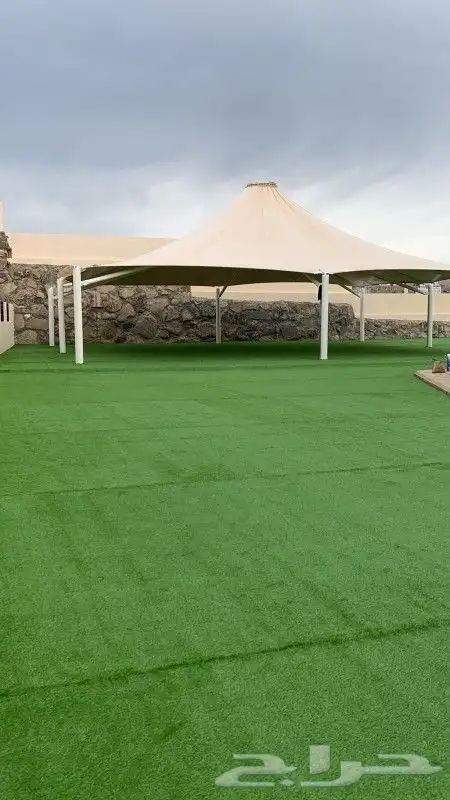 عشب ارضى وعشب جدارى بسعر الجملة 9