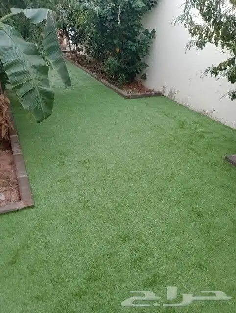 عشب ارضى وعشب جدارى بسعر الجملة 4