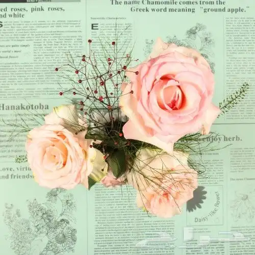 تصوير احترافي  تصوير منتجات  تصوير فوتوغرافي 14