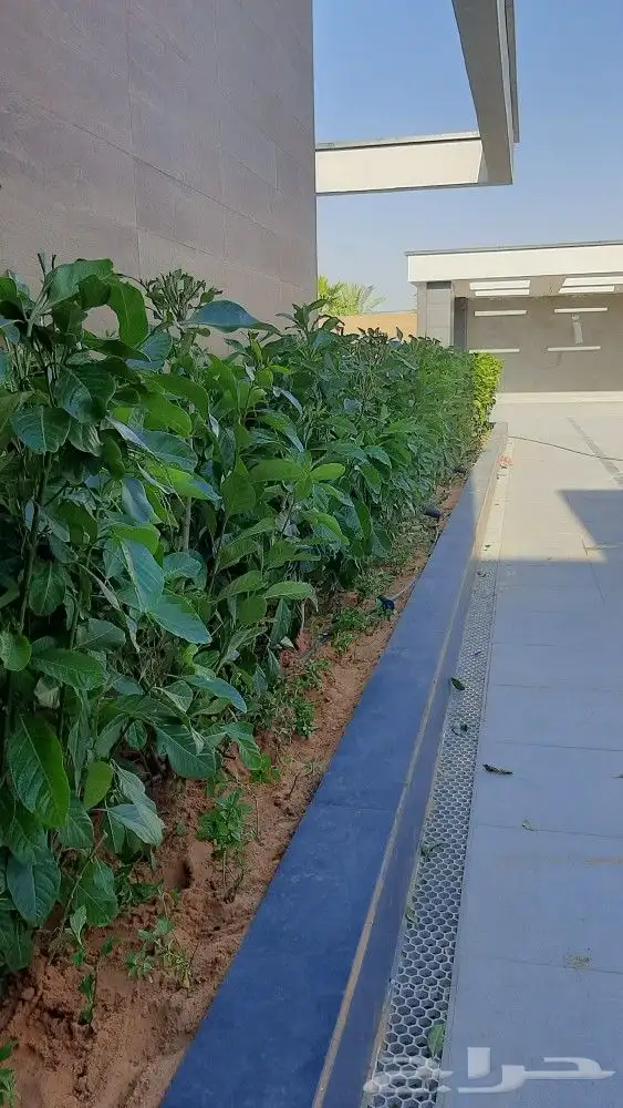 مشتل تنسيق حدائق امجاد 5