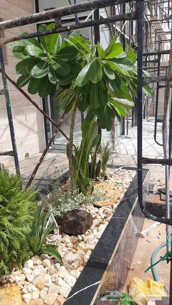 مشتل تنسيق حدائق امجاد 12