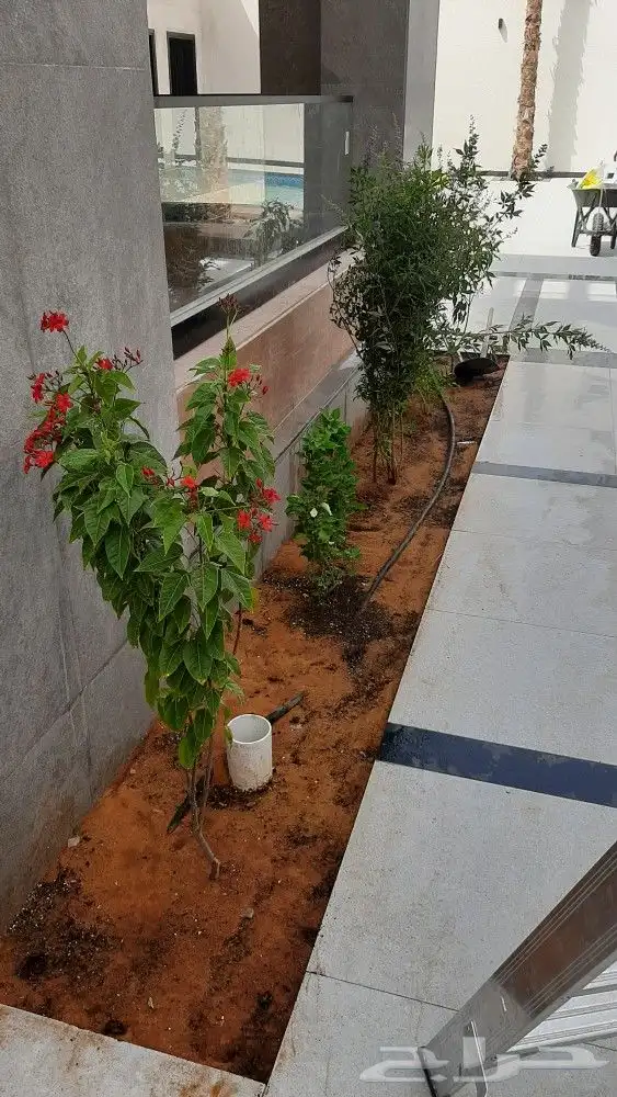 مشتل تنسيق حدائق امجاد 8