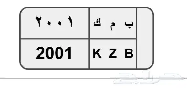 لوحة خصوصي 2001 0