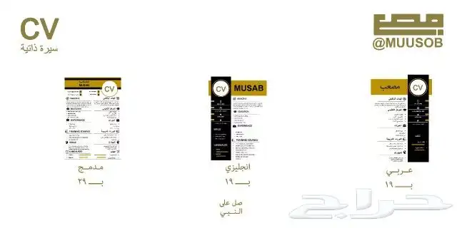 تصميم سيرة ذاتية 0