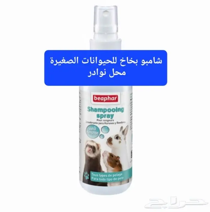 كروان روز فشر بادجي زيبرا دره محل نوادر 74