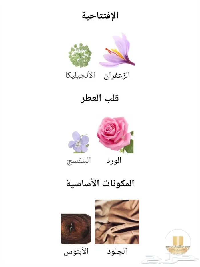 عطر من فيليهام 5