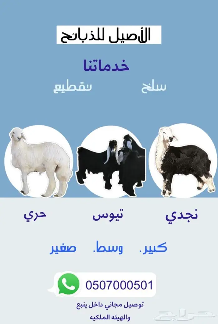 ذبايح مزرعه الاصيل حريات - سواكن - تيوس 0