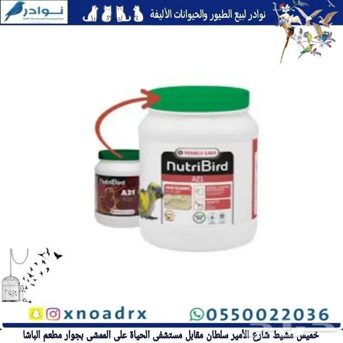 مستلزمات طيور زينة محل نوادر خميس مشيط 36