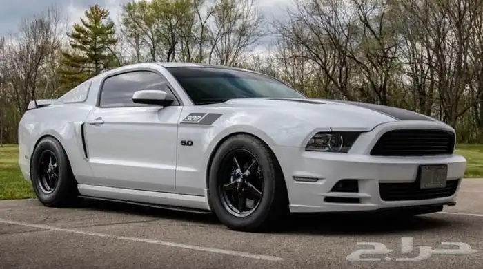 نوفر جنوط ويلد - بيدلوك - vms - جميع السيارات 20