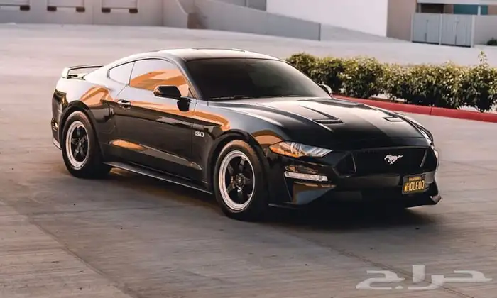 نوفر جنوط ويلد - بيدلوك - vms - جميع السيارات 19