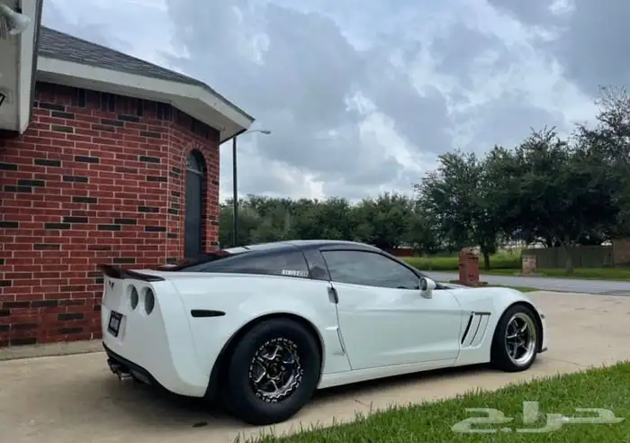 نوفر جنوط ويلد - بيدلوك - vms - جميع السيارات 31