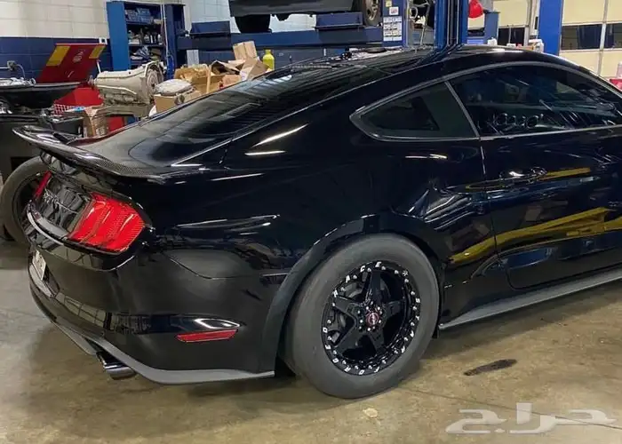 نوفر جنوط ويلد - بيدلوك - vms - جميع السيارات 29