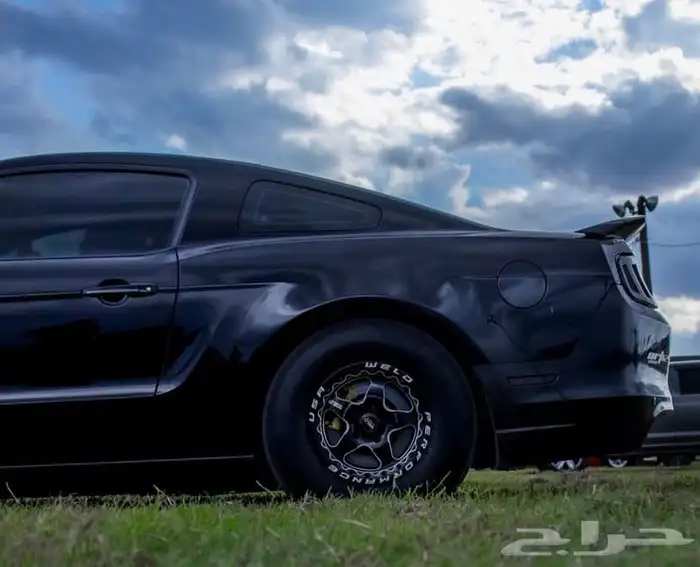 نوفر جنوط ويلد - بيدلوك - vms - جميع السيارات 30