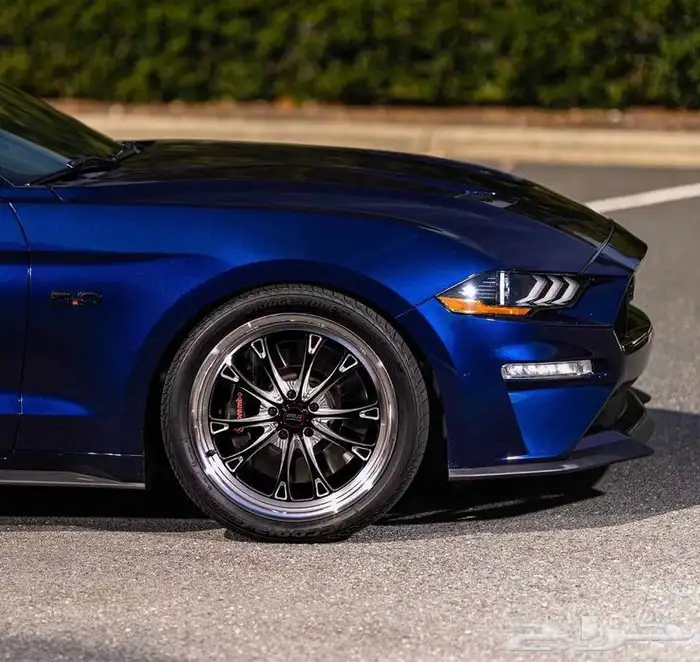 نوفر جنوط ويلد - بيدلوك - vms - جميع السيارات 54