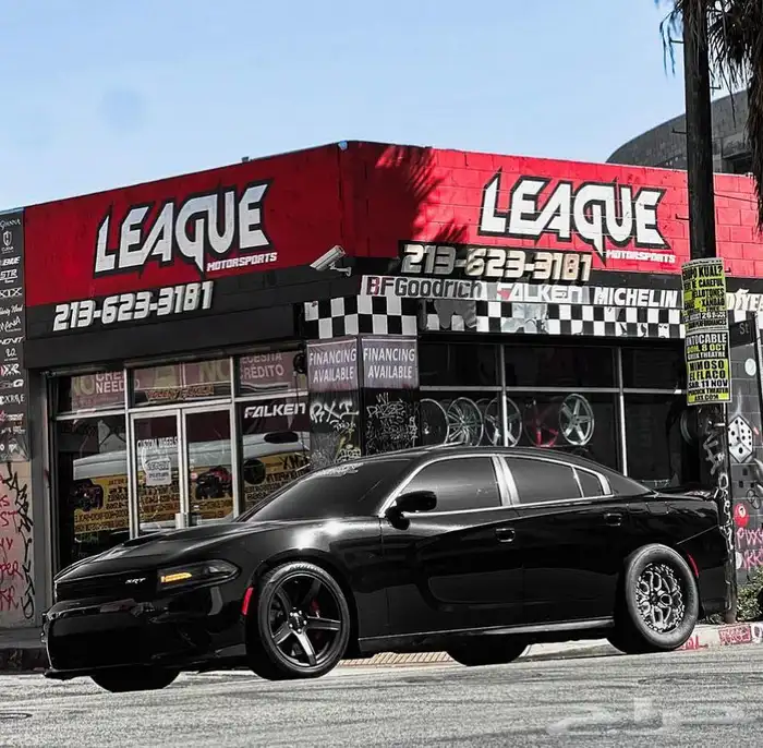 نوفر جنوط ويلد - بيدلوك - vms - جميع السيارات 16