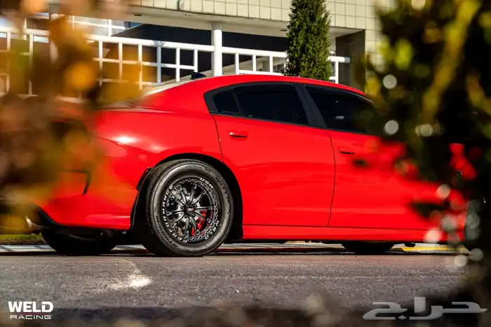 نوفر جنوط ويلد - بيدلوك - vms - جميع السيارات 59