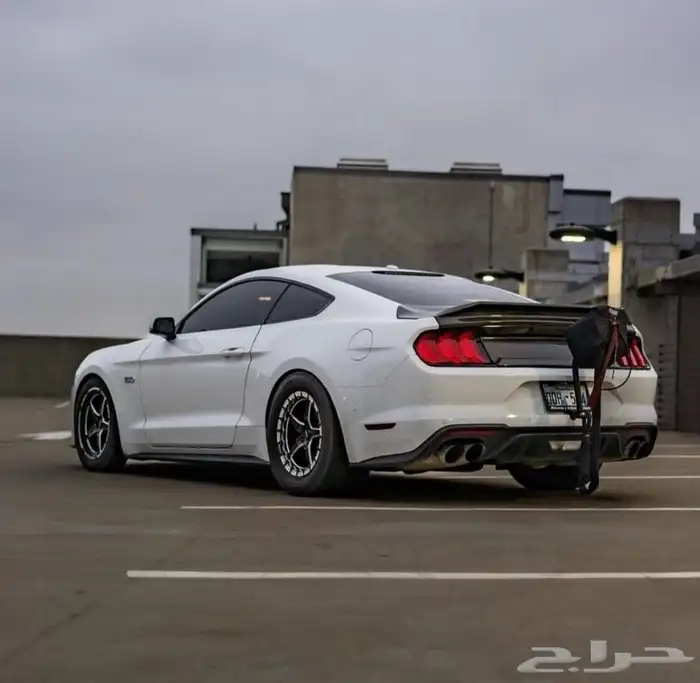 نوفر جنوط ويلد - بيدلوك - vms - جميع السيارات 56