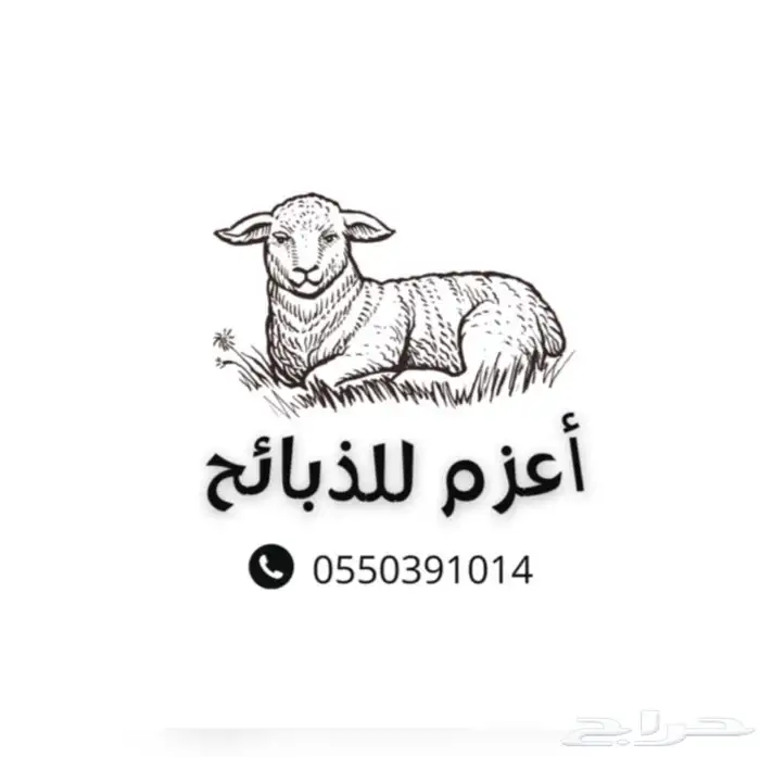 ذبايح نجد طليان ورخال 0