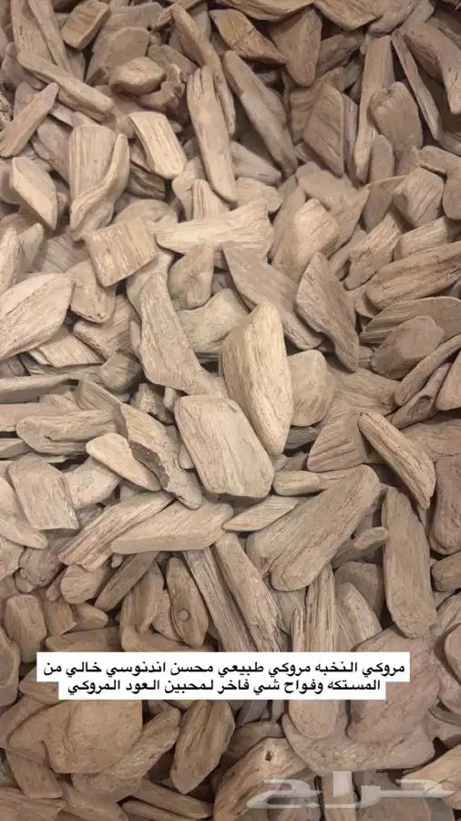 عود مروكي محسن (النخبه) 1