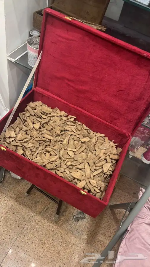 عود مروكي محسن (النخبه) 0