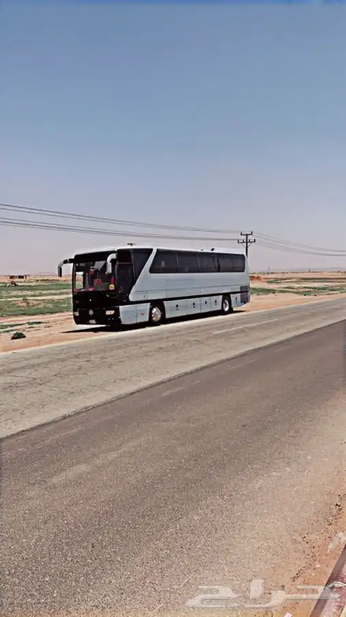 تاجير حافلات 4