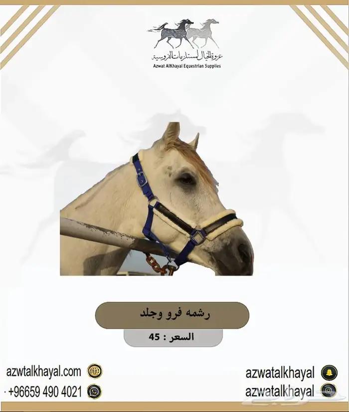سرج خيل اصلي ولجام يوجد اقساط 22