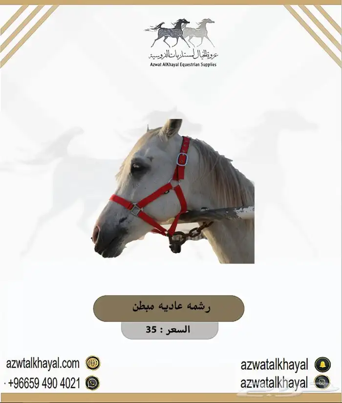 طقم سرج خيل يوجد اقساط 18
