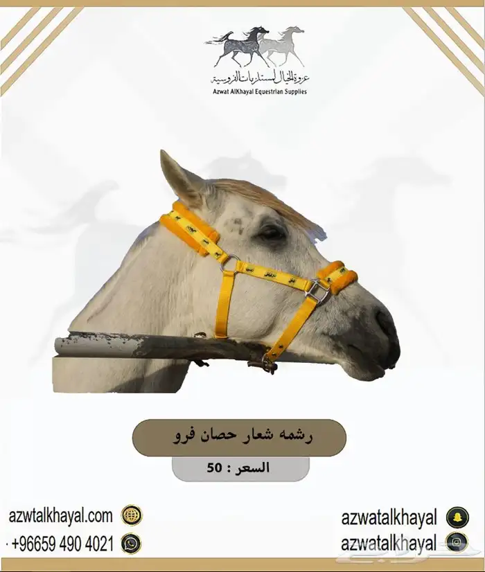 جميع مستلزمات الخيل حياكم الله سرج حصان 20